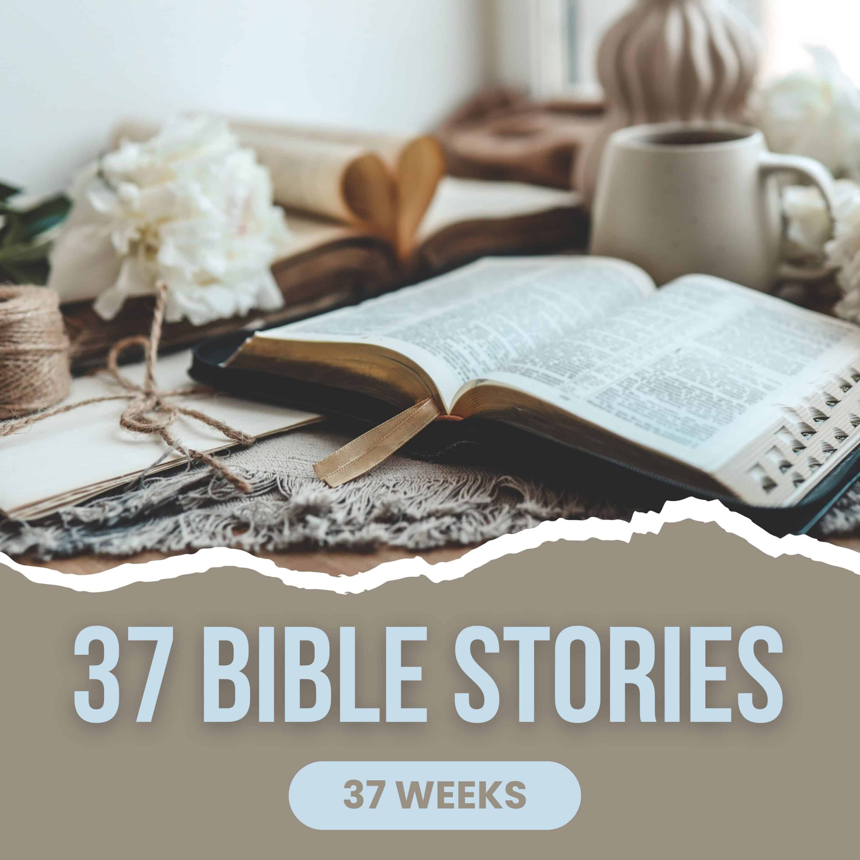 37 Bible Stories 37 Weeks