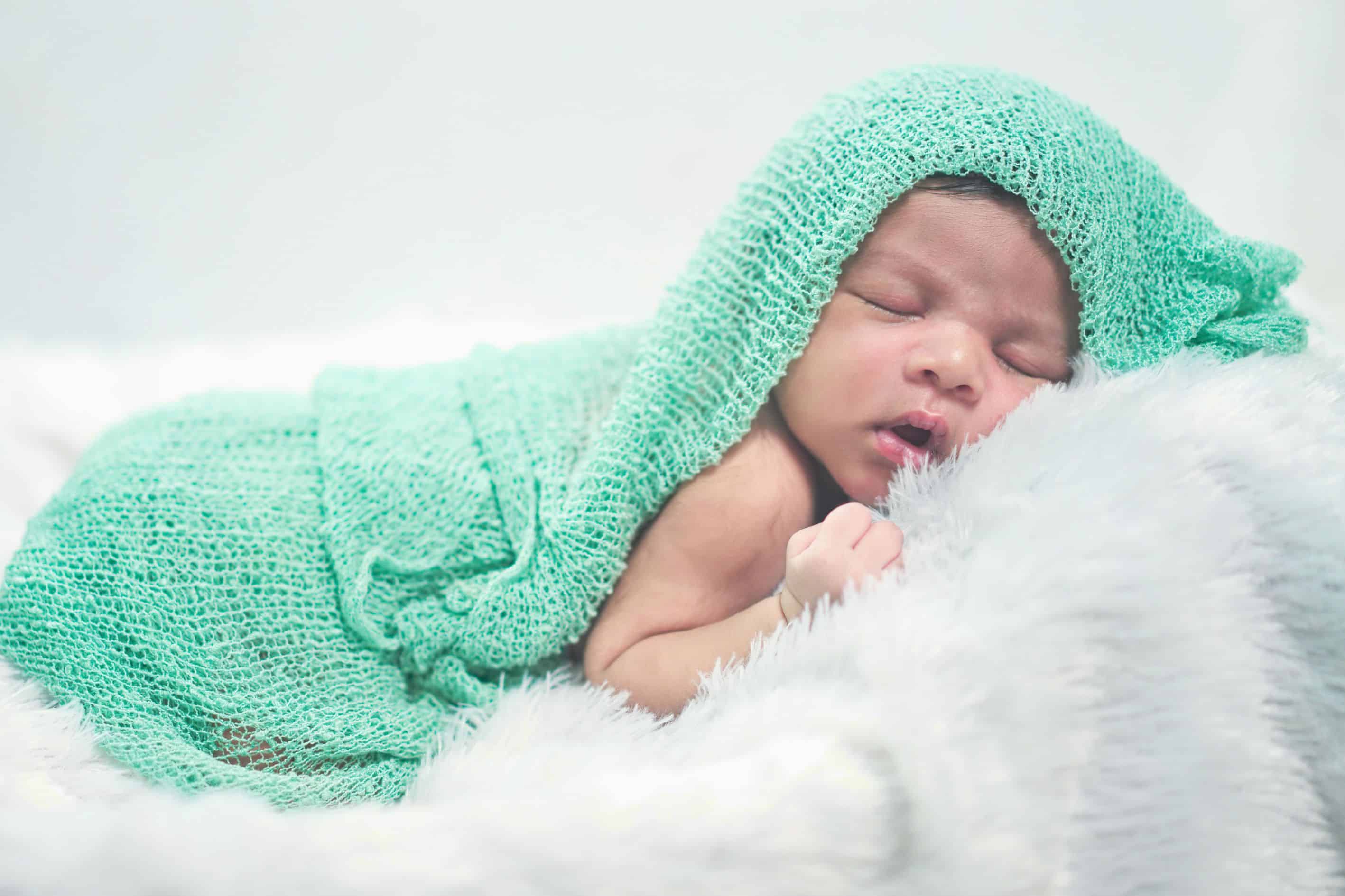 A group of senior adults smiling together underneath a tree