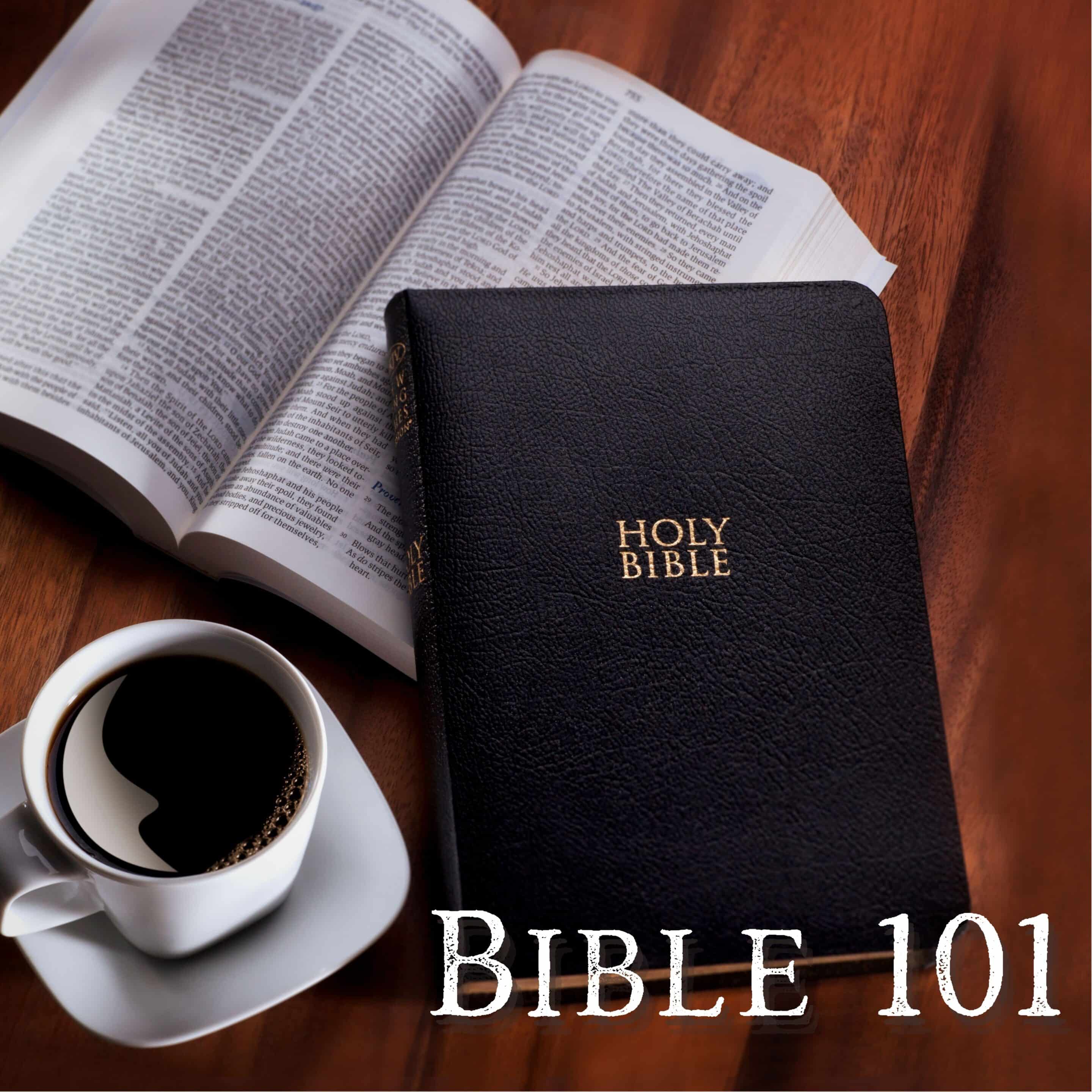 Bible 101