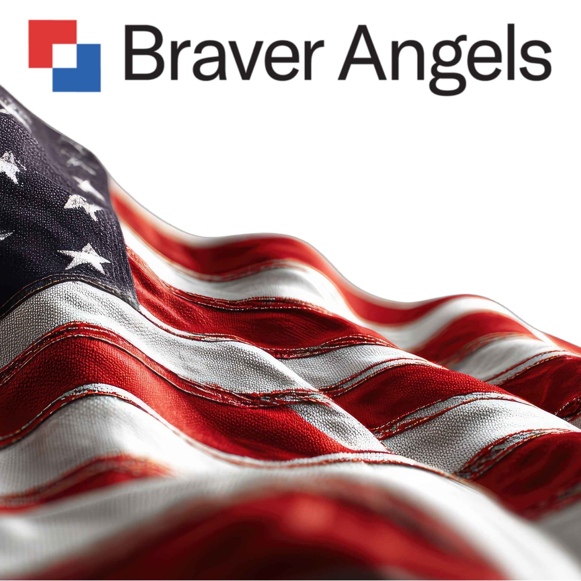 Braver Angels Seminar